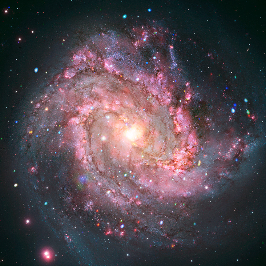 A composite image of spiral galaxy Messier 83 combining X-ray data from NASA's Chandra observatory with optical light from Hubble, showing pink spiral arms and numerous bright X-ray point sources