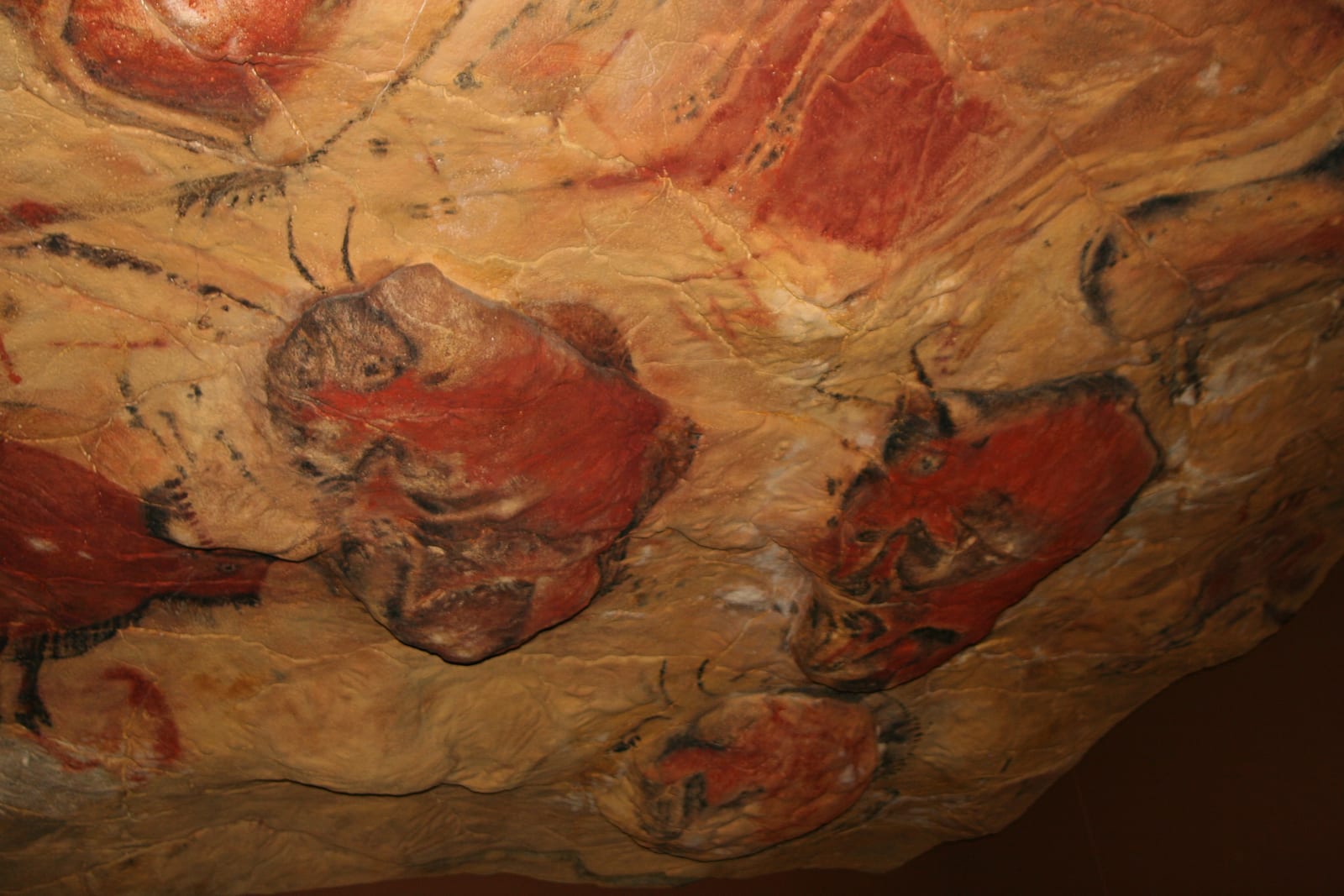 The painted ceiling of the Cave of Altamira in Cantabria, Spain, showing the famous polychrome bison and other Ice Age animals on the cave roof. Photo: Matthias Kabel, CC BY-SA 3.0.