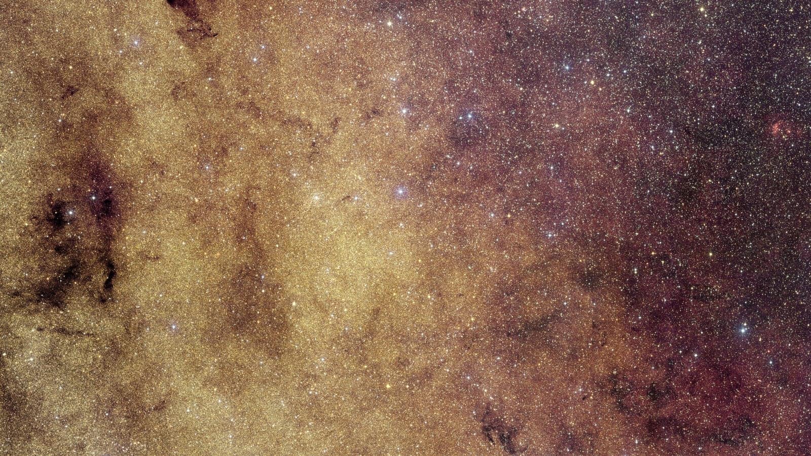 Euclid mosaic of the Milky Way galactic bulge showing an extremely dense field of stars in visible light. The image is dominated by countless tiny points of starlight against black space, with several bright star clusters and darker dust lanes visible. Credit: ESA/Euclid/Euclid Consortium/NASA, CFHT, image processing by J.-C. Cuillandre and E. Bertin (CEA Paris-Saclay).