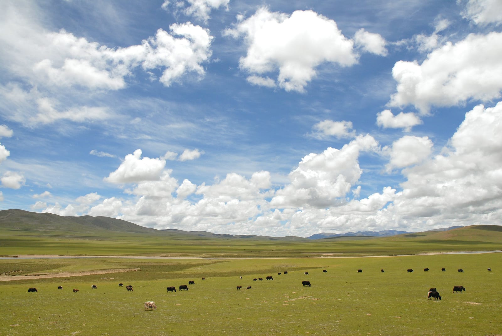 A panoramic view of the Tibetan Plateau showing expansive grasslands beneath a cloudy sky, with distant mountains on the horizon.