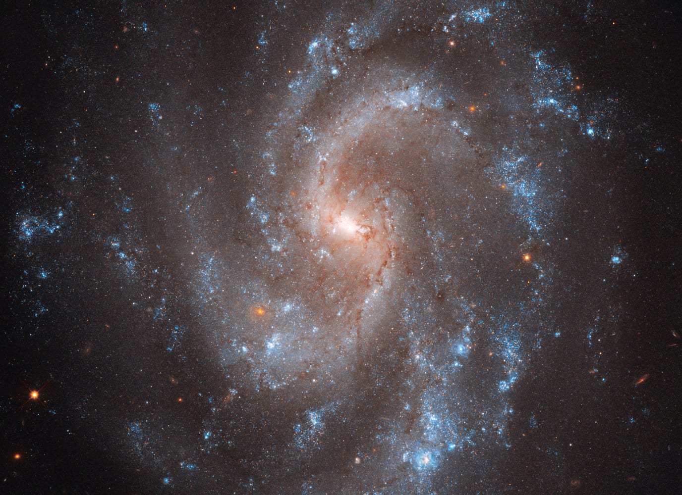The face-on spiral galaxy NGC 5584, with blue star-forming regions along its arms, dark dust lanes, and a yellowish core. Cepheid variable stars in this galaxy were used to calibrate the cosmic distance ladder for measuring the universe's expansion rate.