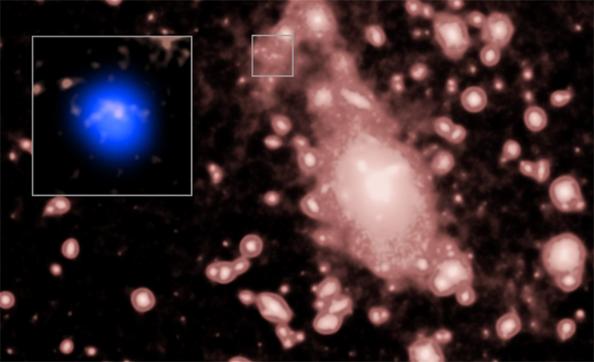 A composite image of the sky around GRB 230906A: a field of faint galaxies with a red circle marking the position of the gamma-ray burst measured by Chandra, and an inset zooming in on the tiny, extremely faint host galaxy.
