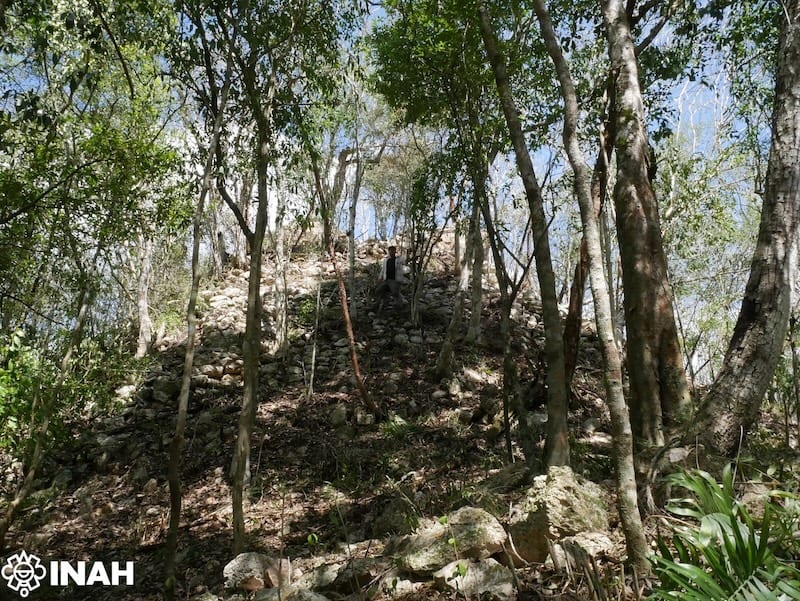 A pyramid temple more than 13 meters tall rising from the jungle at the Maya city of Minanbé in the Calakmul Biosphere Reserve, Campeche, Mexico. A person stands on the slope for scale. Photo: Vitan Vujanović / INAH.