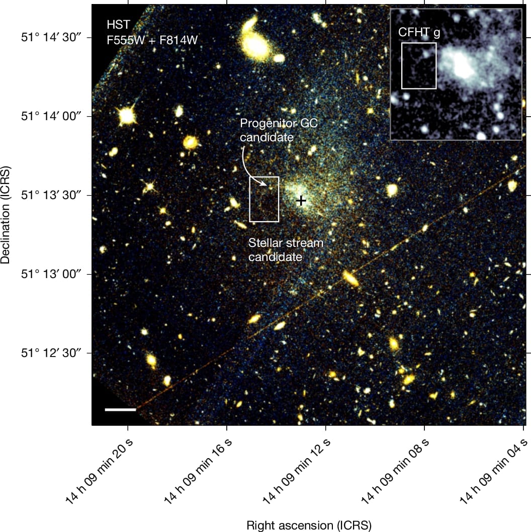 Annotated scientific figure of the Oyashio stream: a main Hubble panel showing the ultra-diffuse galaxy with a white box marking the stellar stream candidate and an arrow pointing to the progenitor globular cluster candidate, a scale bar, and coordinate axes, with a grayscale CFHT inset in the top right corner zoomed to the same feature.