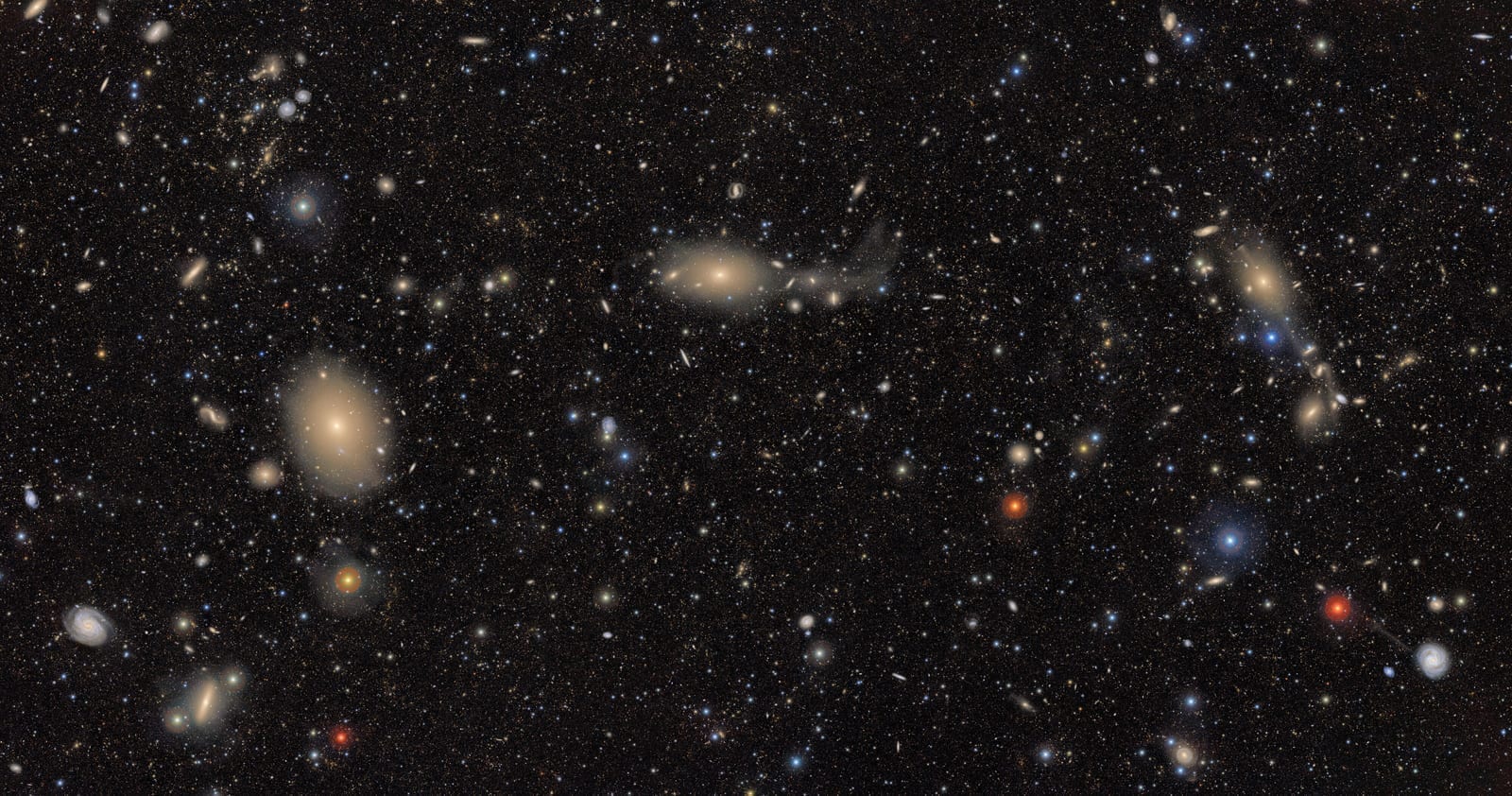A deep Rubin Observatory mosaic of the Virgo Cluster showing thousands of galaxies across an area of sky equivalent to hundreds of full Moons. The richness of the field illustrates the immense survey power of the 3,200-megapixel camera. Credit: RubinObs/NOIRLab/SLAC/NSF/DOE/AURA.