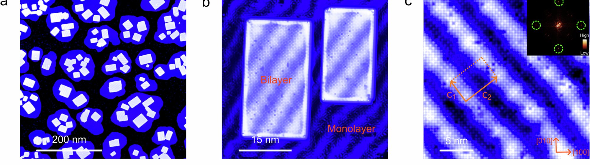Three scanning tunneling microscopy images of bilayer tin telluride on niobium diselenide: wide-field islands, a close-up showing moiré stripe patterns from lattice mismatch, and an atomic-resolution view of the compressed lattice.