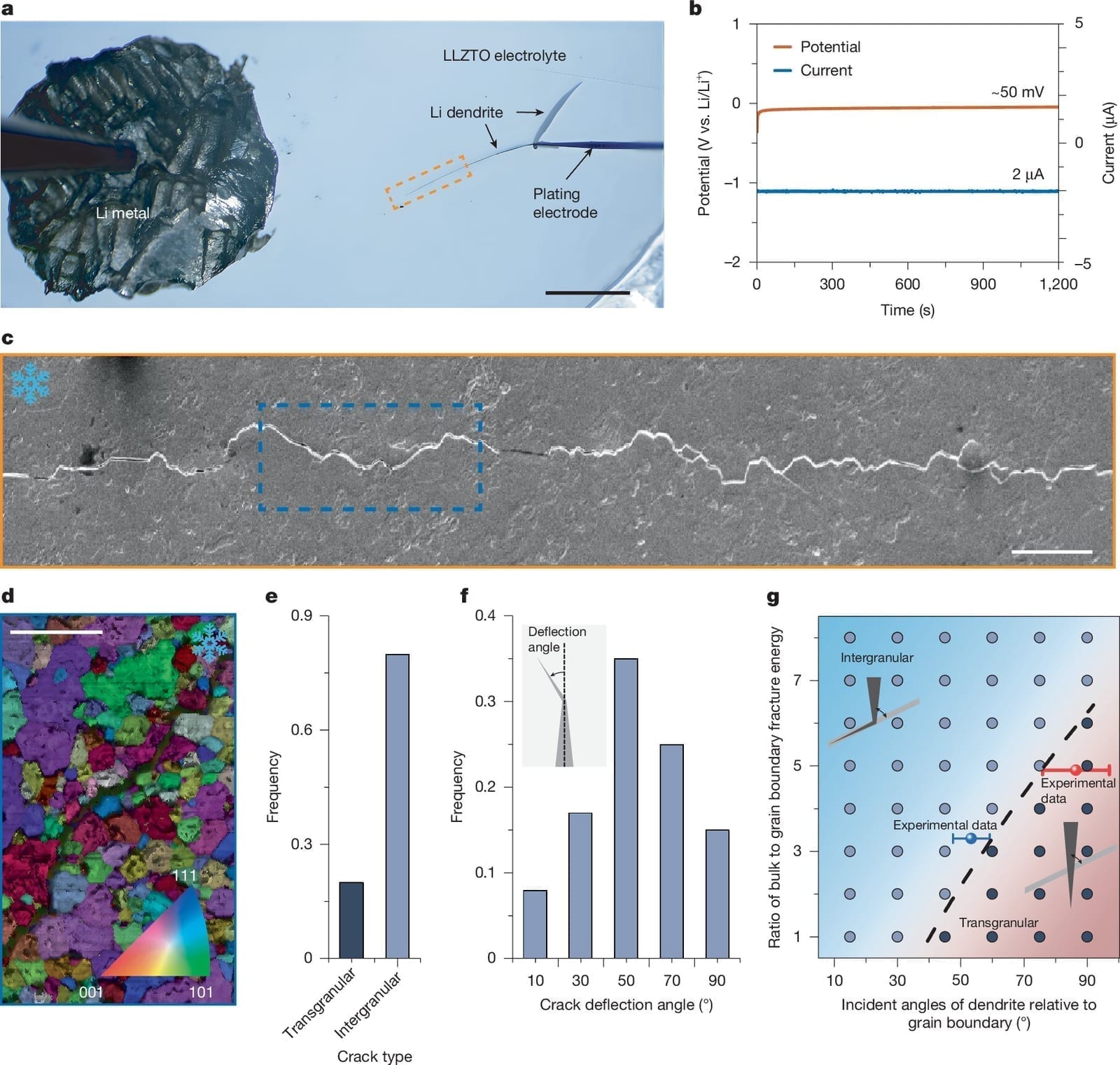 Scientific figure with five panels: an optical microscope view of lithium metal plating a dendrite into the LLZTO ceramic electrolyte, a voltage and current plot, a cryo-SEM image of a jagged crack path through the ceramic, an electron backscatter diffraction grain map showing the crack following grain boundaries, and charts of crack deflection angles and fracture energy. Credit: Zhang et al., Nature (2026), CC BY 4.0.