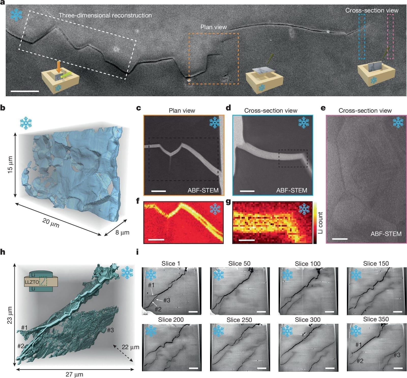 Scientific figure showing a three-dimensional reconstruction of a lithium dendrite network inside the ceramic electrolyte, with electron microscope cross-sections and lithium elemental maps confirming that metal fills the cracks, plus sequential slices through the sample showing the crack network spreading. Credit: Zhang et al., Nature (2026), CC BY 4.0.